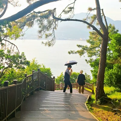 海へ下る松林の遊歩道