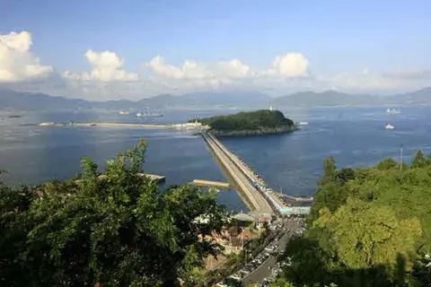 梧桐島