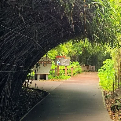 竹のアーチを抜ける散策路