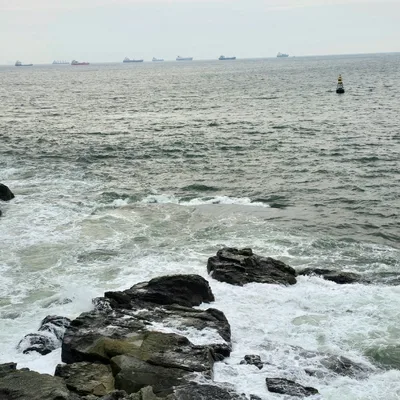 梧桐島 — 岩礁に砕ける白波