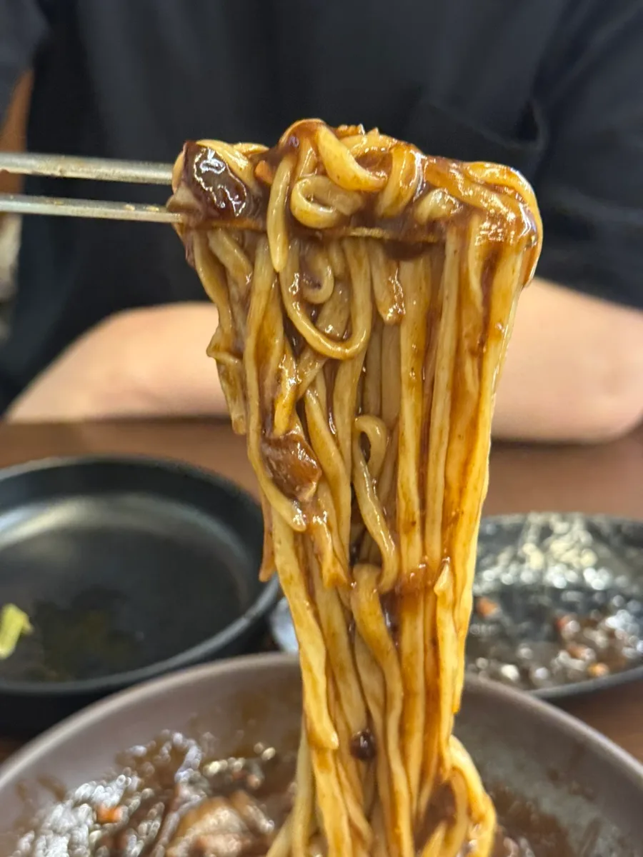 箸で持ち上げた手打ちの麺