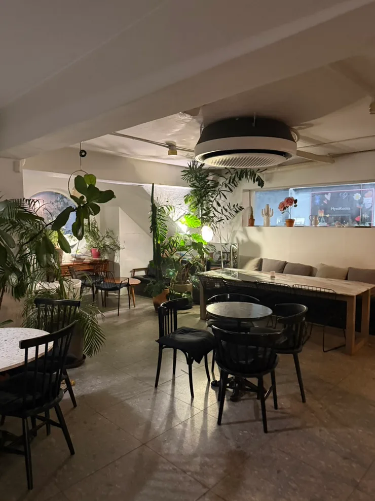oneinamillion 漢南店 — 植物に囲まれたカフェの客席