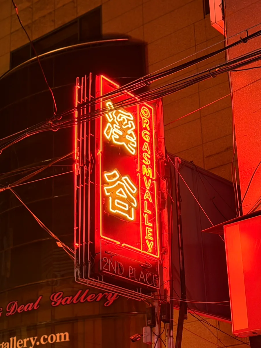 Orgasm Valley — 路地に灯る縦型のネオン看板