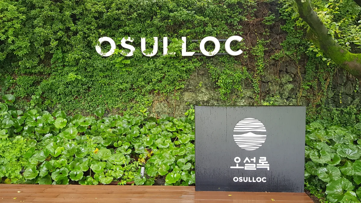 緑の石垣に立つOSULLOC看板