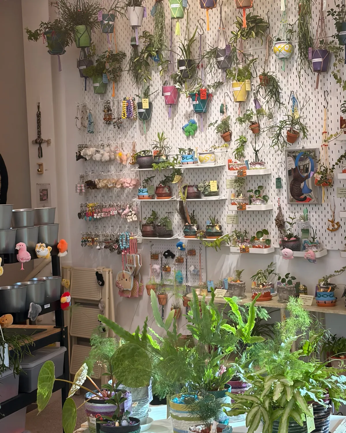 植物と雑貨が並ぶ壁面