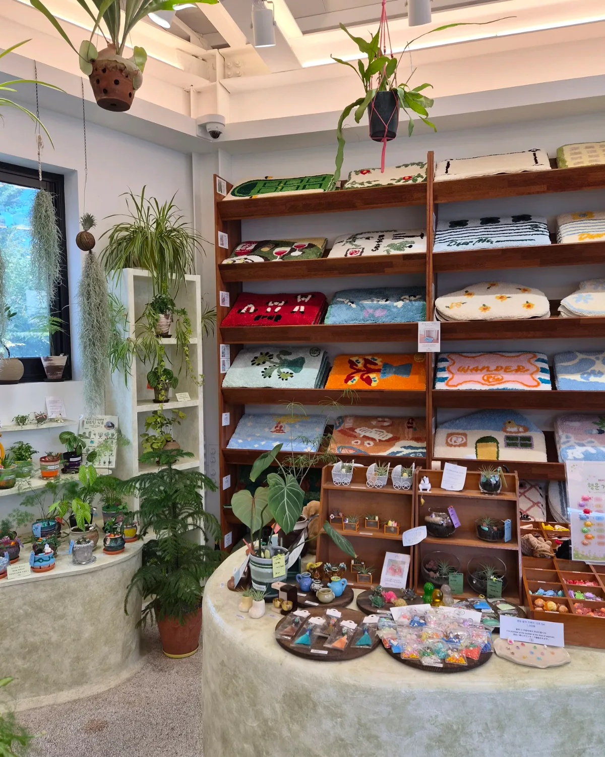 植物とラグに囲まれた売場