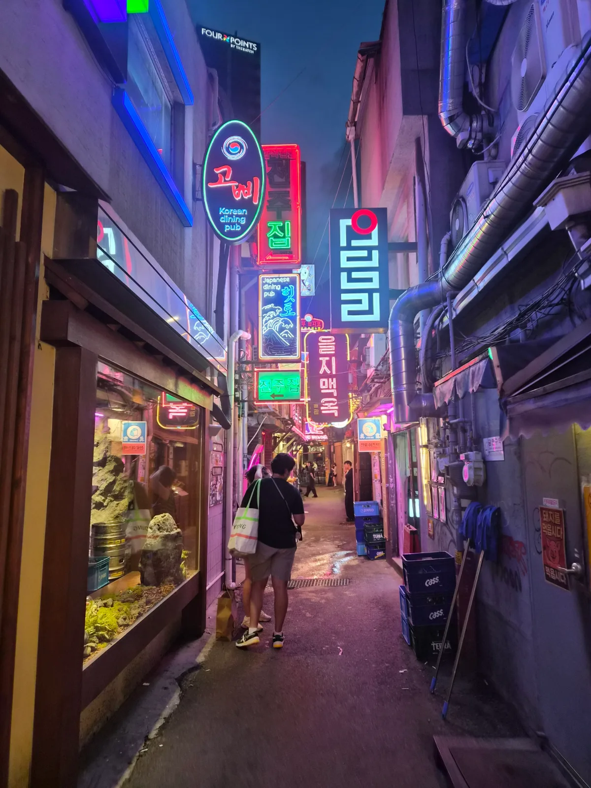 極彩色のネオン看板が続く横丁