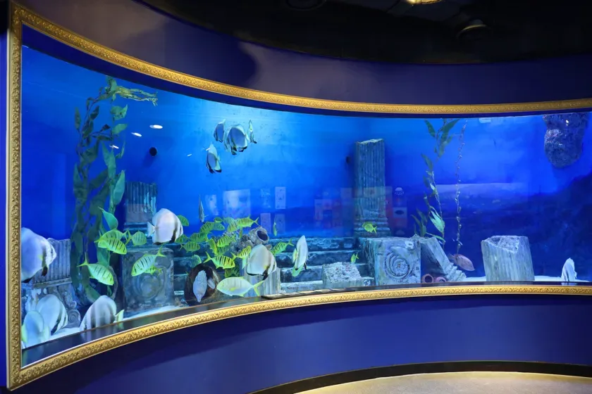 シーライフCOEX ソウルアクアリウム — 金の額縁を巡る熱帯魚