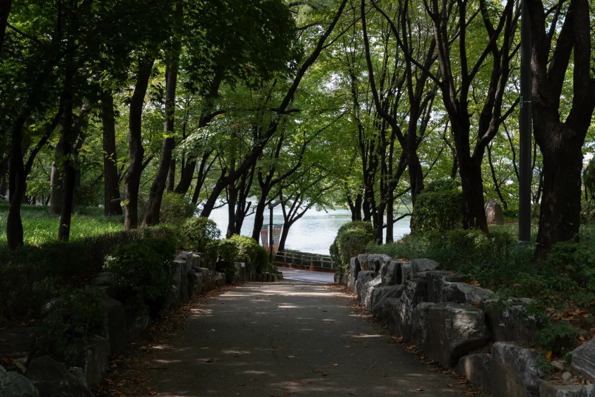木立から望む湖畔