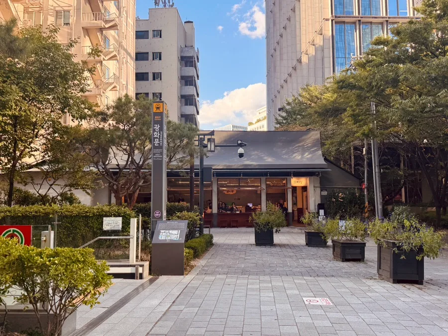 ソリドン — 木々に囲まれた平屋の店先