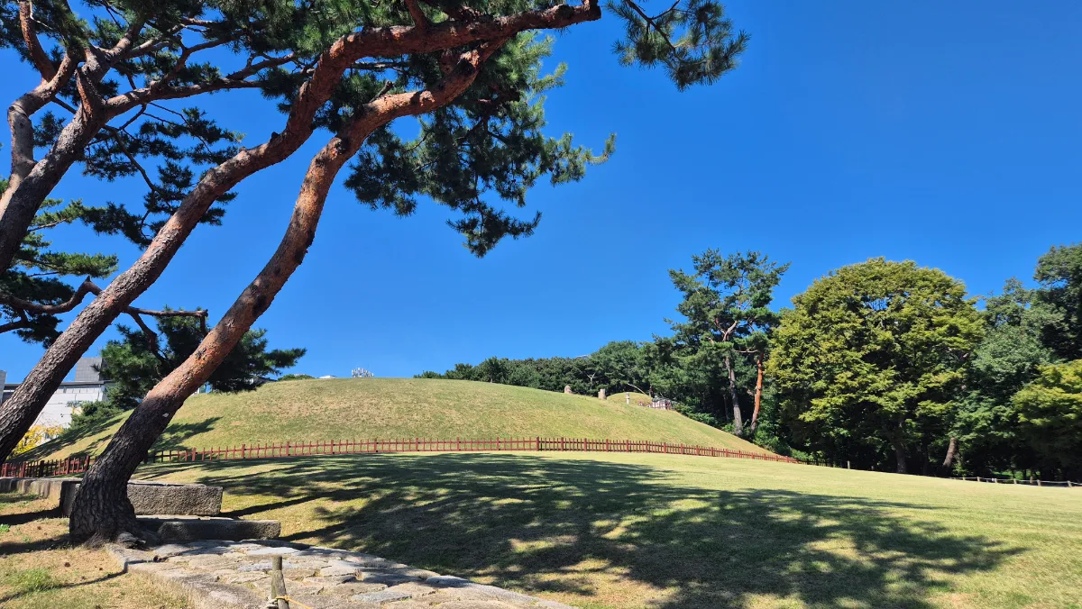 松越しに望む王陵