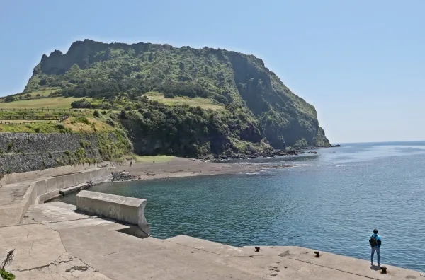 海越しに望む緑の火山峰