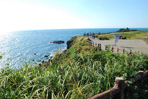 草原と海に沿う岬の遊歩道