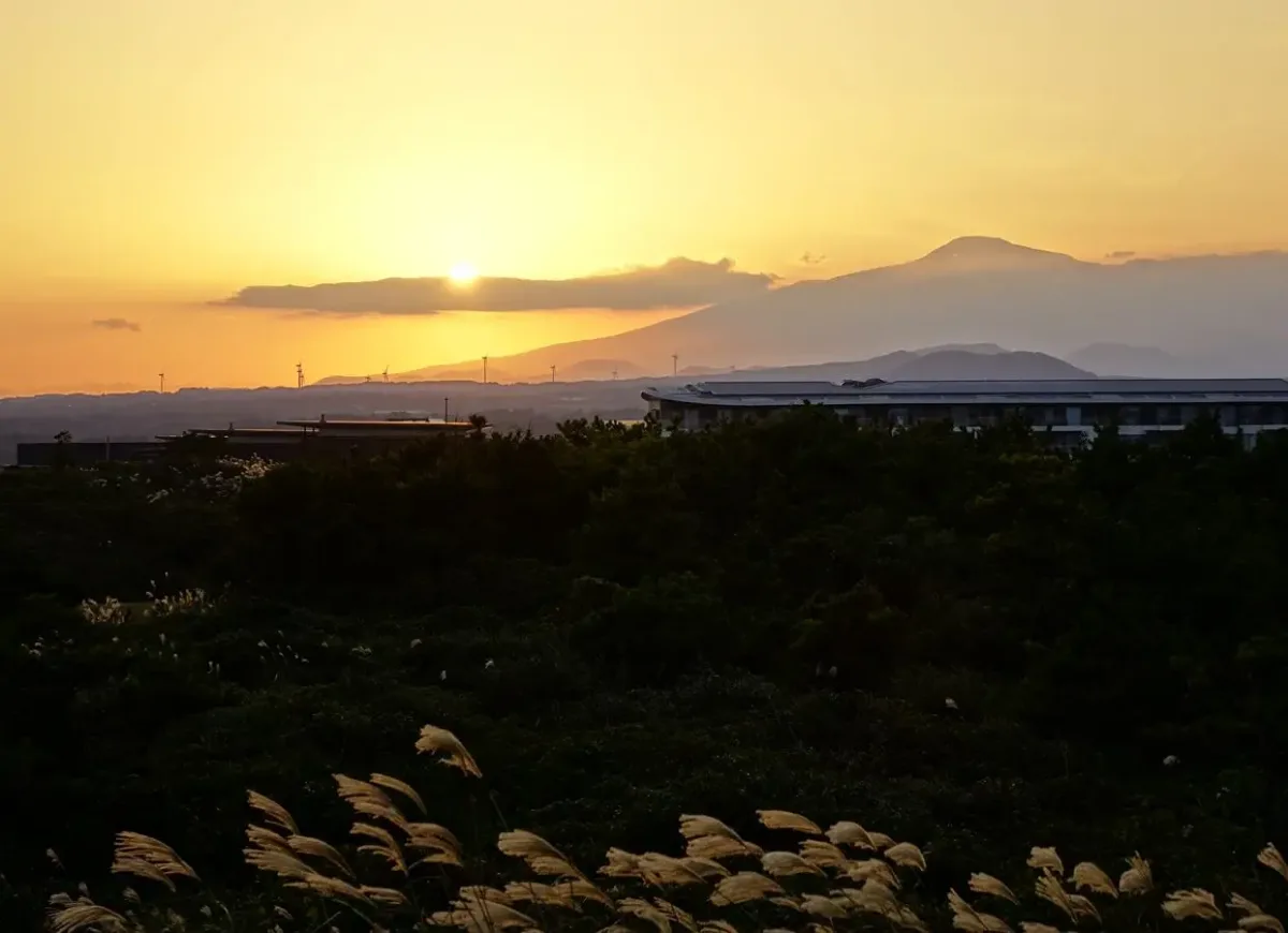 ソプチコジ — 夕日に染まる山並みとススキ