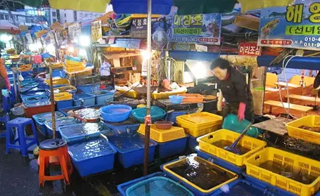 束草観光水産市場 — 活魚水槽が並ぶ売り場