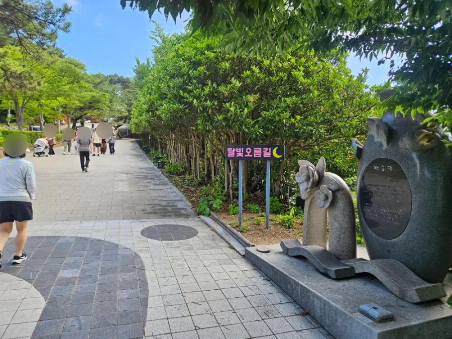月光五六道の石碑と園路