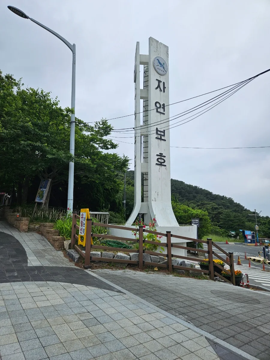 自然保護塔と緑の遊歩道