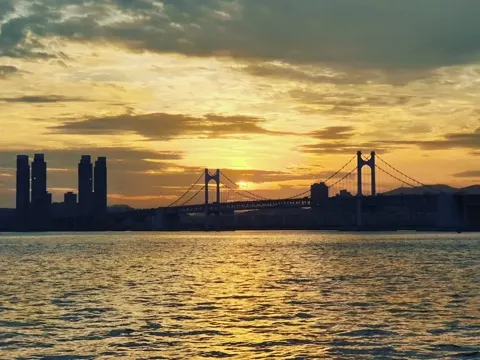 THE BAY 101ヨットツアー
