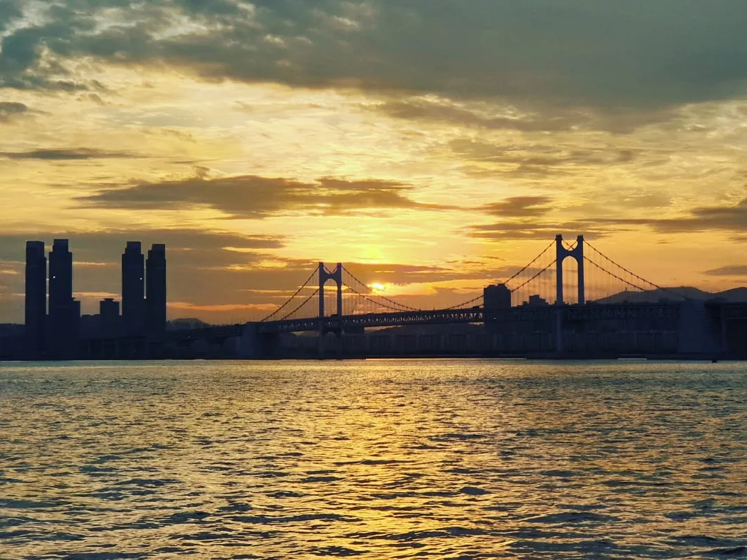 THE BAY 101ヨットツアー