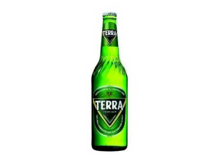 TERRA