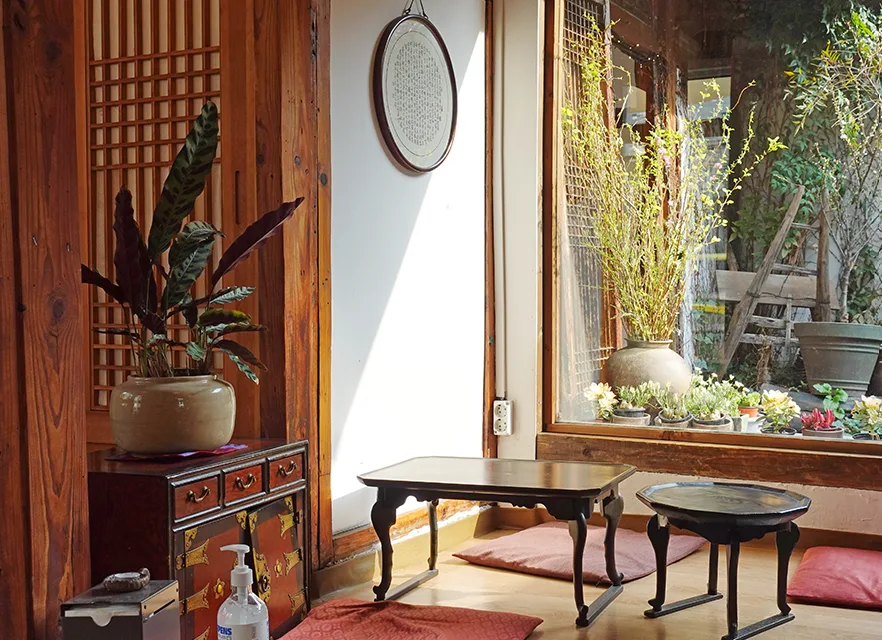 植木と小卓の窓辺席