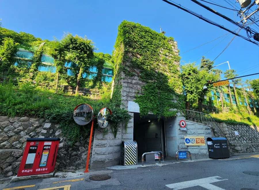 蔦に覆われた石壁の通路入口