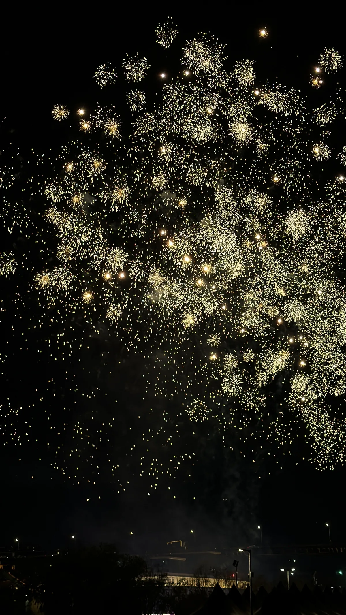 夜空を埋める金色の花火