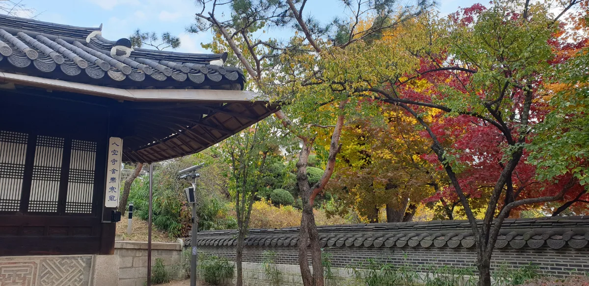紅葉と瓦塀に沿う木造殿舎