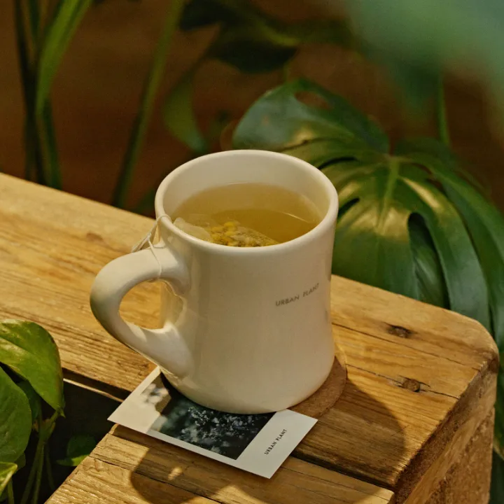Chamomile