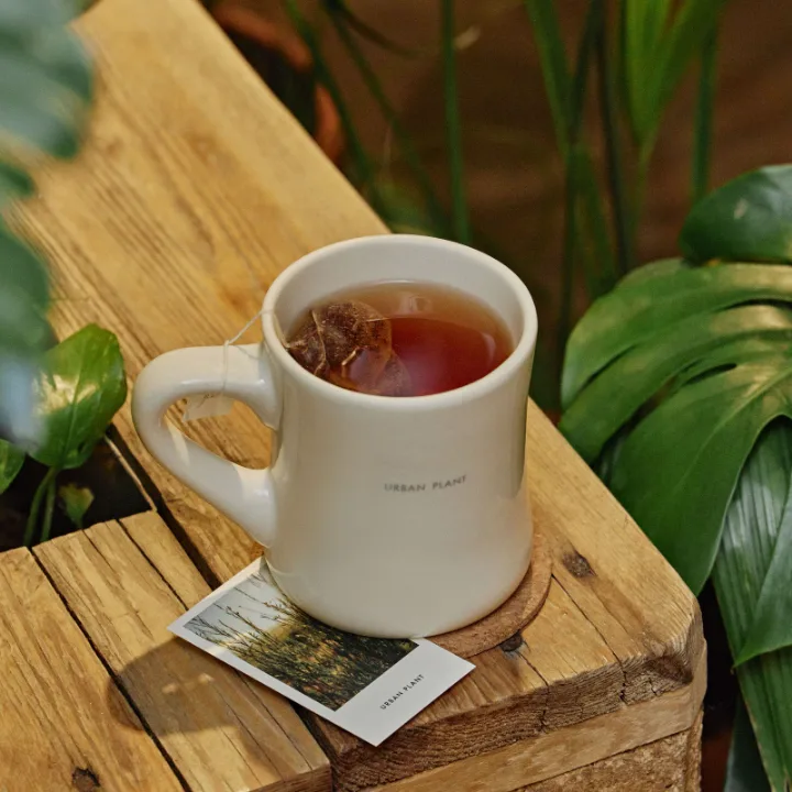 Rooibos