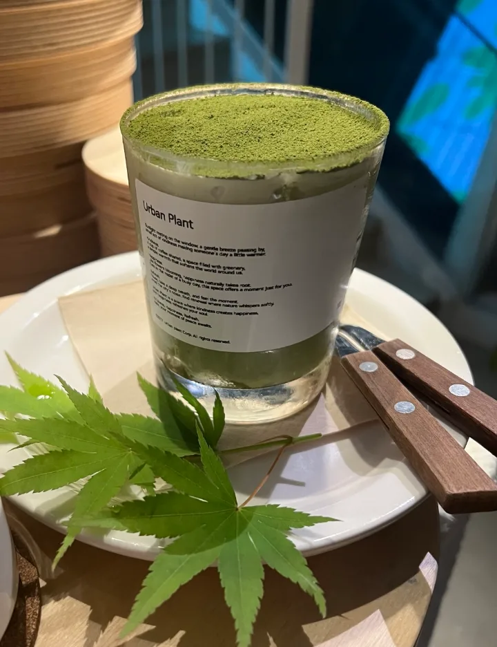抹茶ティラミス