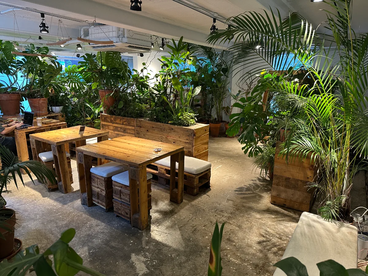URBAN PLANT 合井店 — 植物に囲まれた木のテーブル席