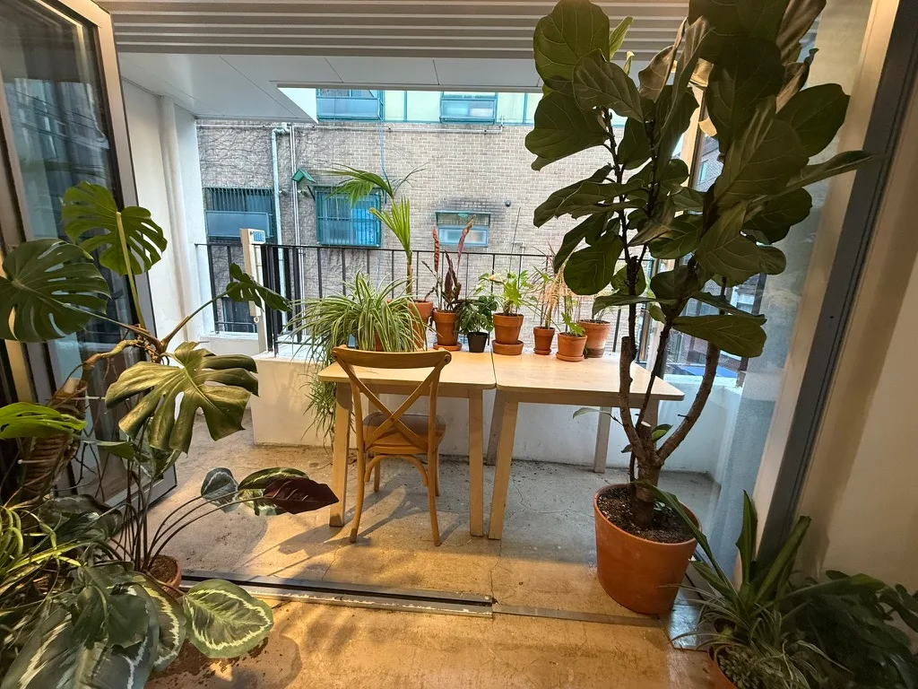 鉢植えに囲まれた窓辺の席