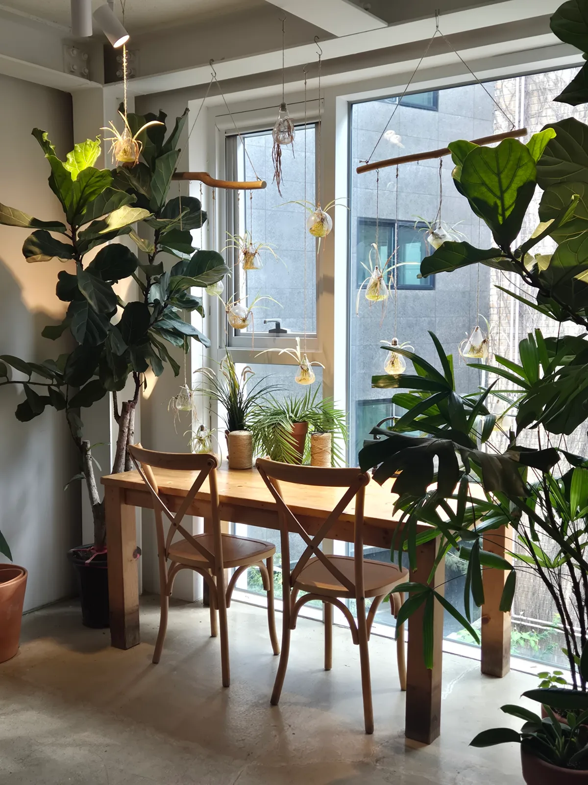 URBAN PLANT 合井店 — 窓辺の木製テーブルと植物