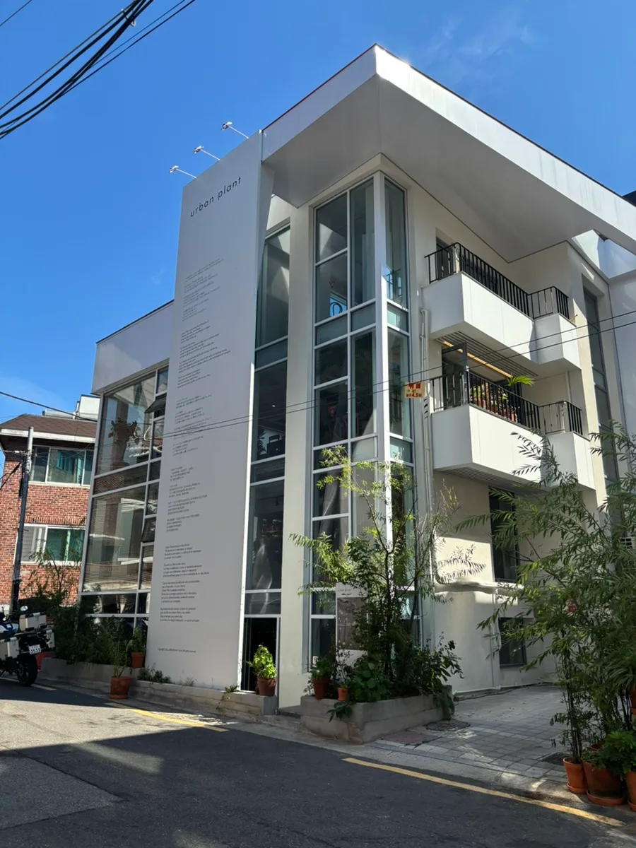 URBAN PLANT 合井店 — 白い壁と大きな窓の建物