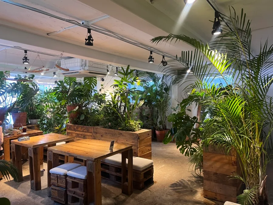 URBAN PLANT 合井店 — 鉢植えの植物に囲まれた木のテーブル席