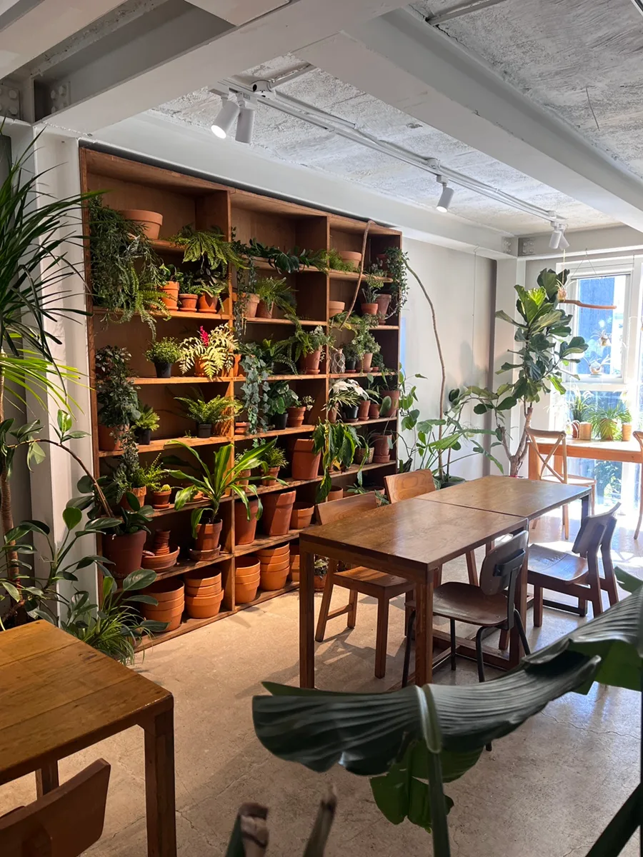 鉢植えの棚に面したテーブル席