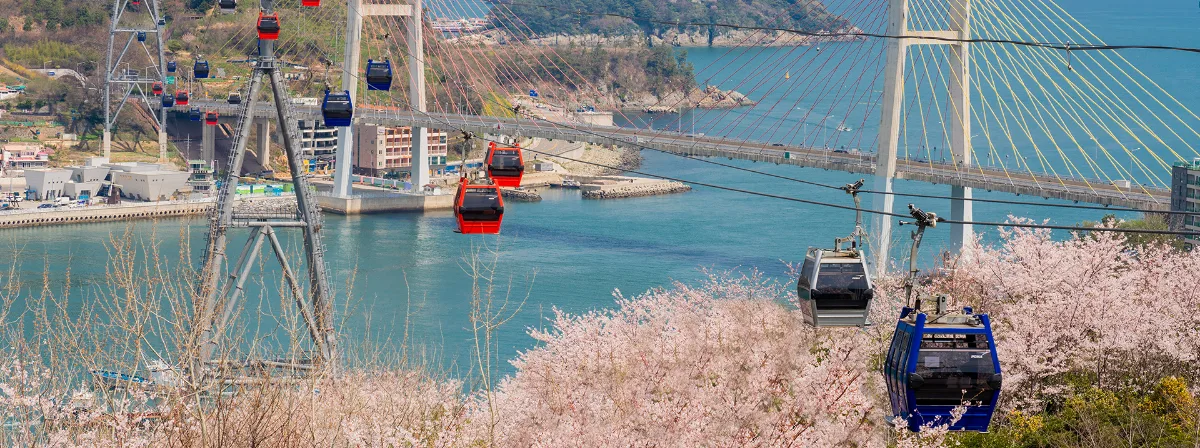 麗水海上ケーブルカー — 桜越しの橋とゴンドラ