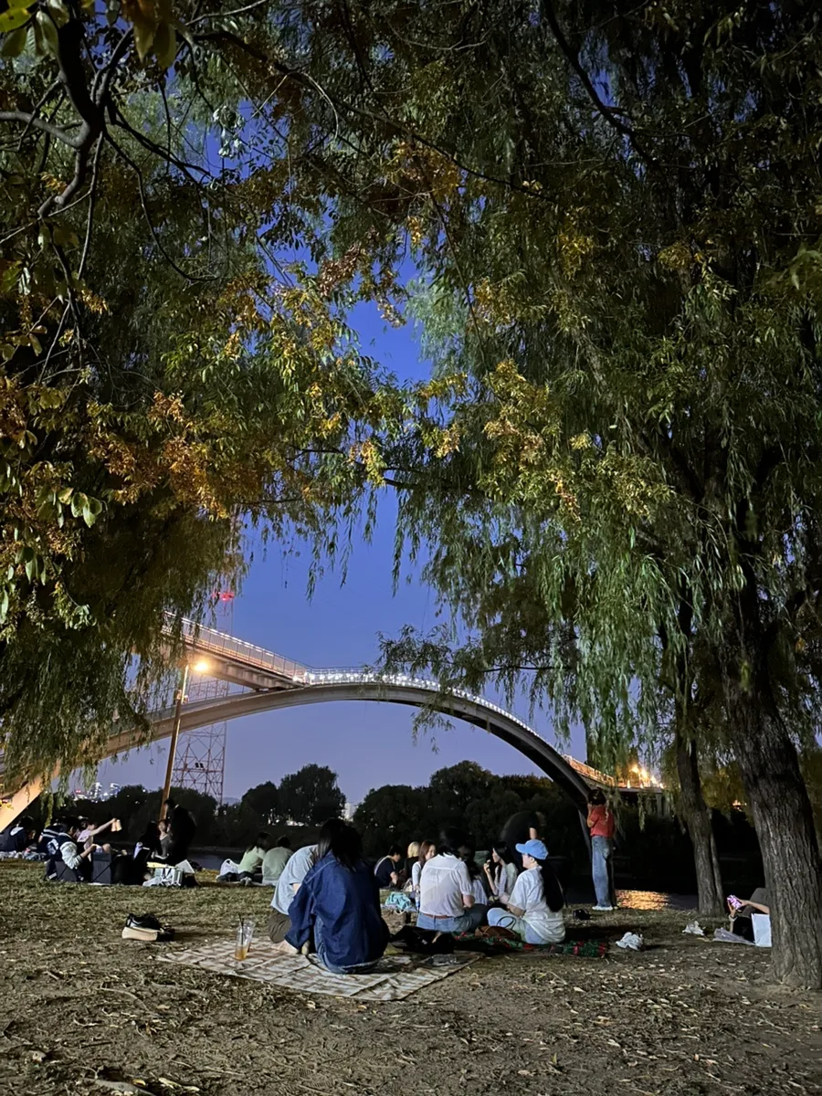 汝矣島漢江公園 — 青い夕空に浮かぶアーチ橋