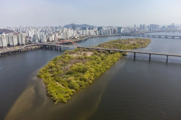 汝矣島漢江公園 — 漢江に浮かぶ緑の島