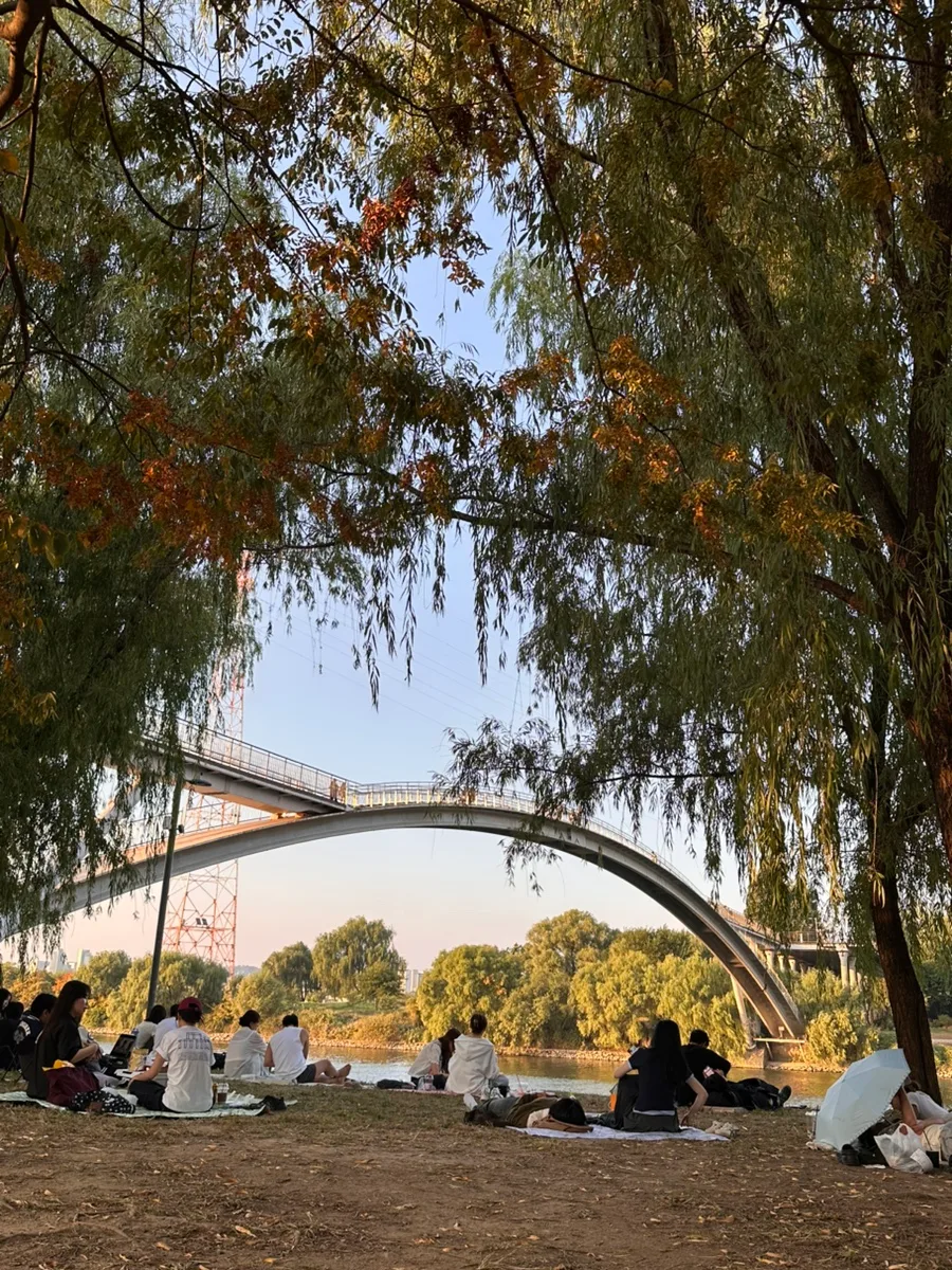 柳越しに望むアーチ橋