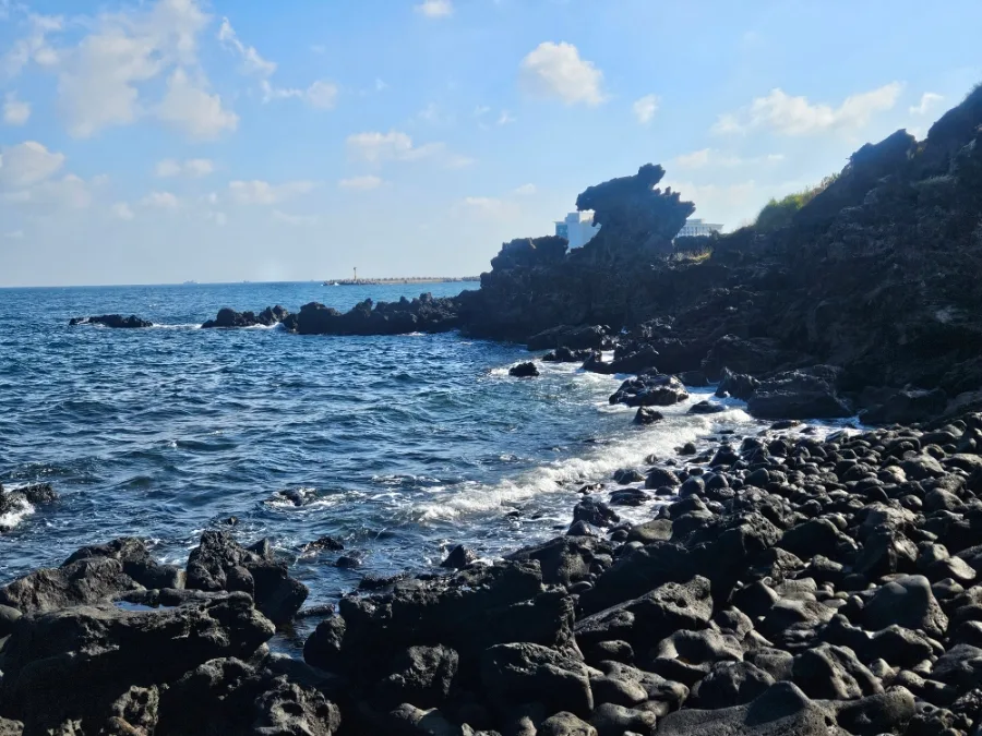 波打つ溶岩海岸と龍頭岩