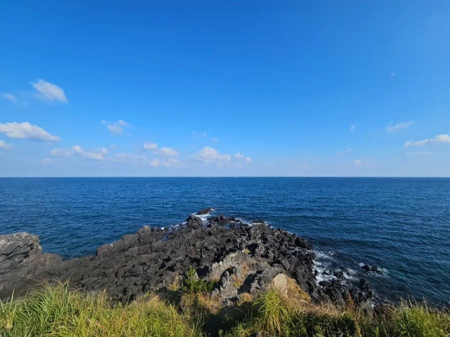 青い海と黒い溶岩海岸